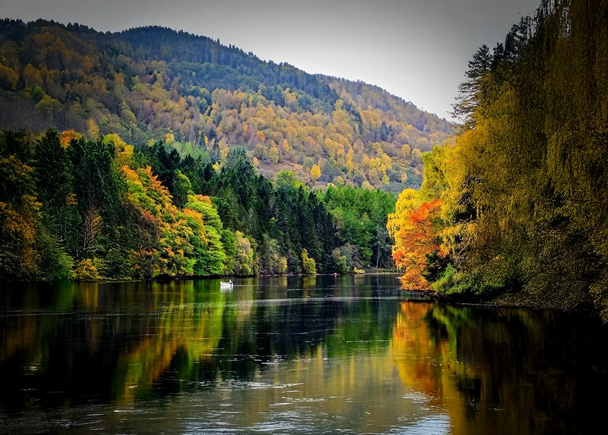 Lochside woodland path near Pitlochry