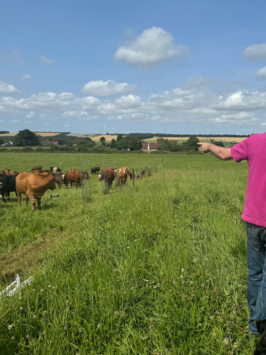 Scotland Wild Food: foraging classes & wild cooking in Scotland