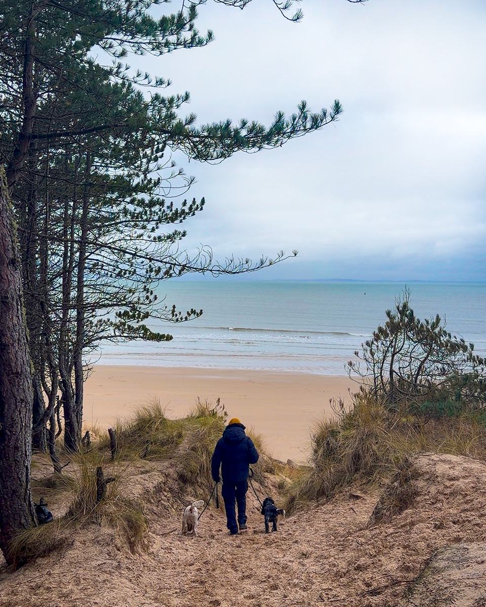 Roseisle Beach - man with two dogs walking down to the beach