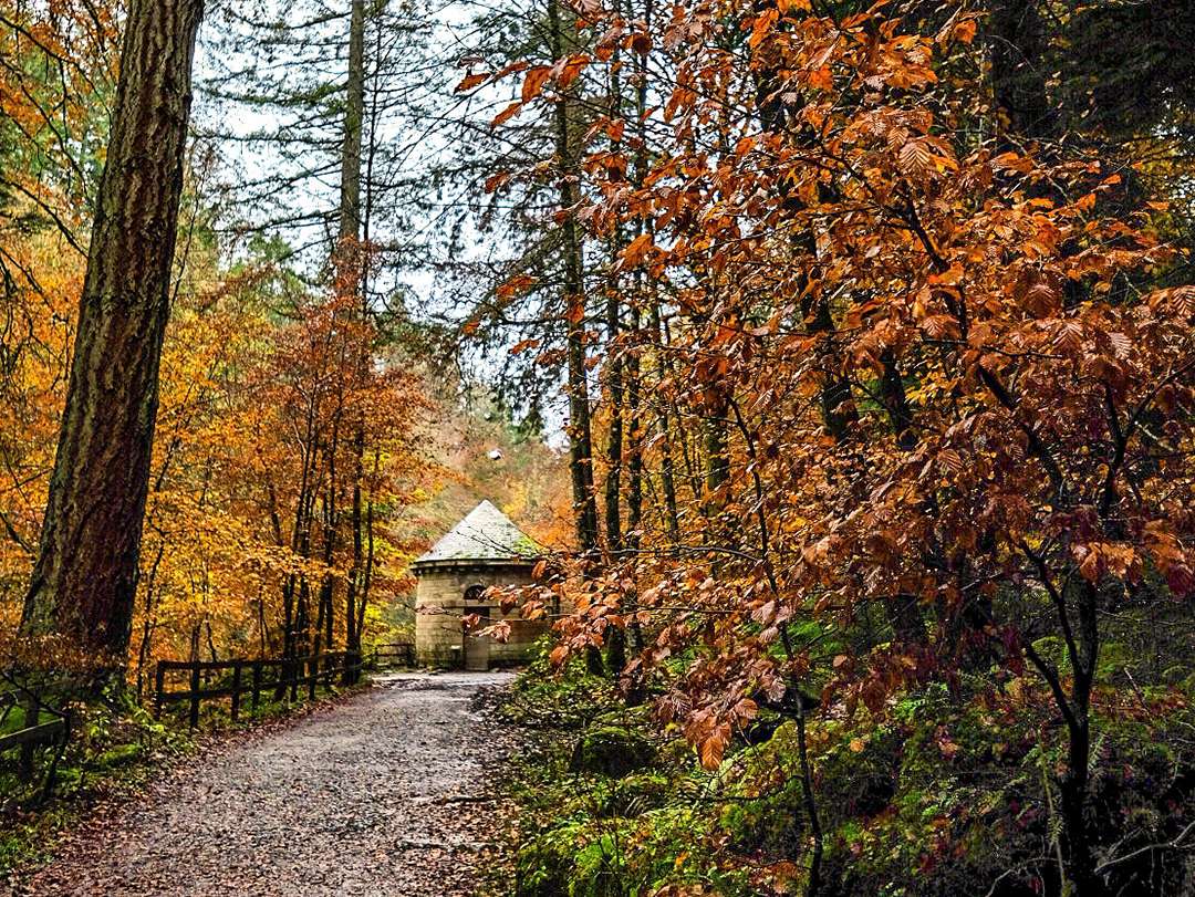 Dunkeld and Birnam: a guide to Scotland’s coolest small town