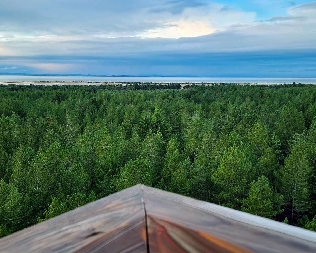 View over Culbin Forest and sands in Moray, one of the Odyssey filming locations in Scotland. 