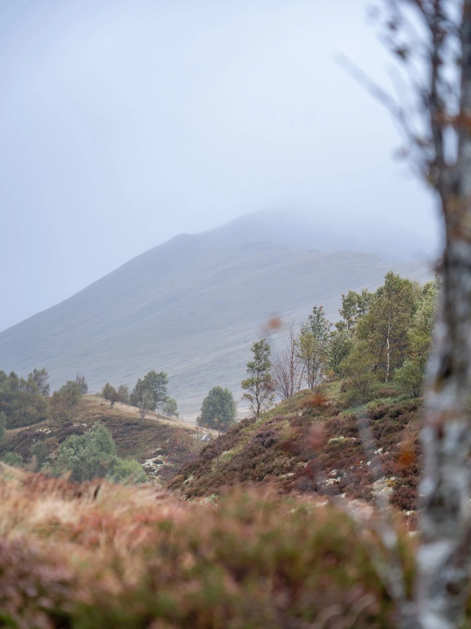 View over Ben Lawers National Nature Reserve to the hills