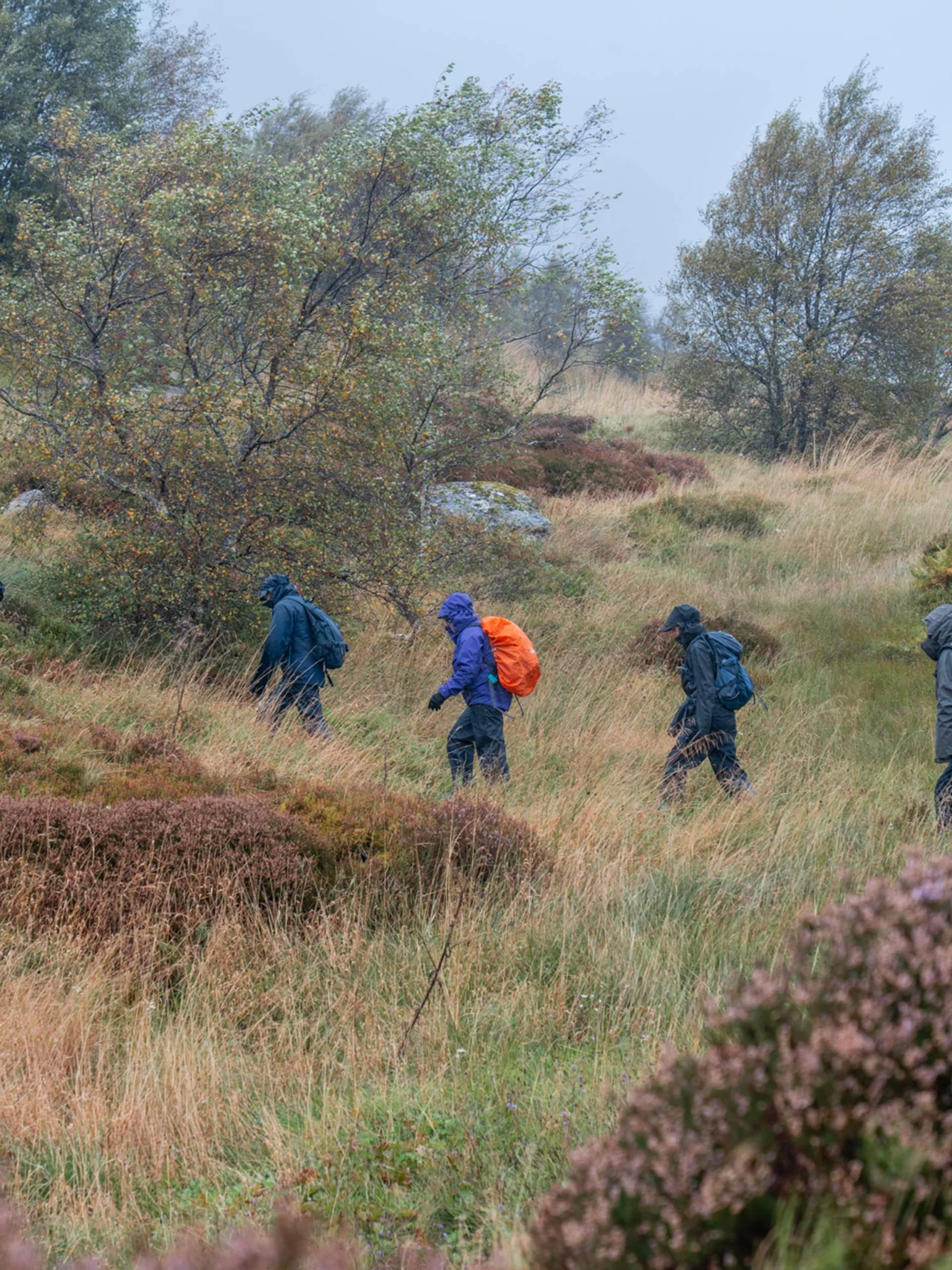 Hikers in Ben Lawers NNR