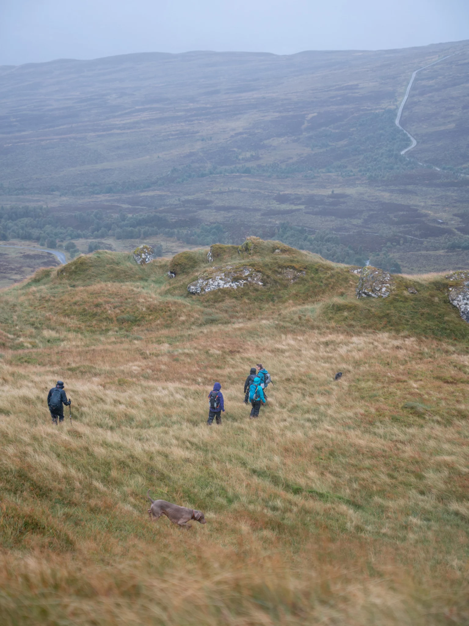 Hikers walking in Ben Lawers National Nature Reserve