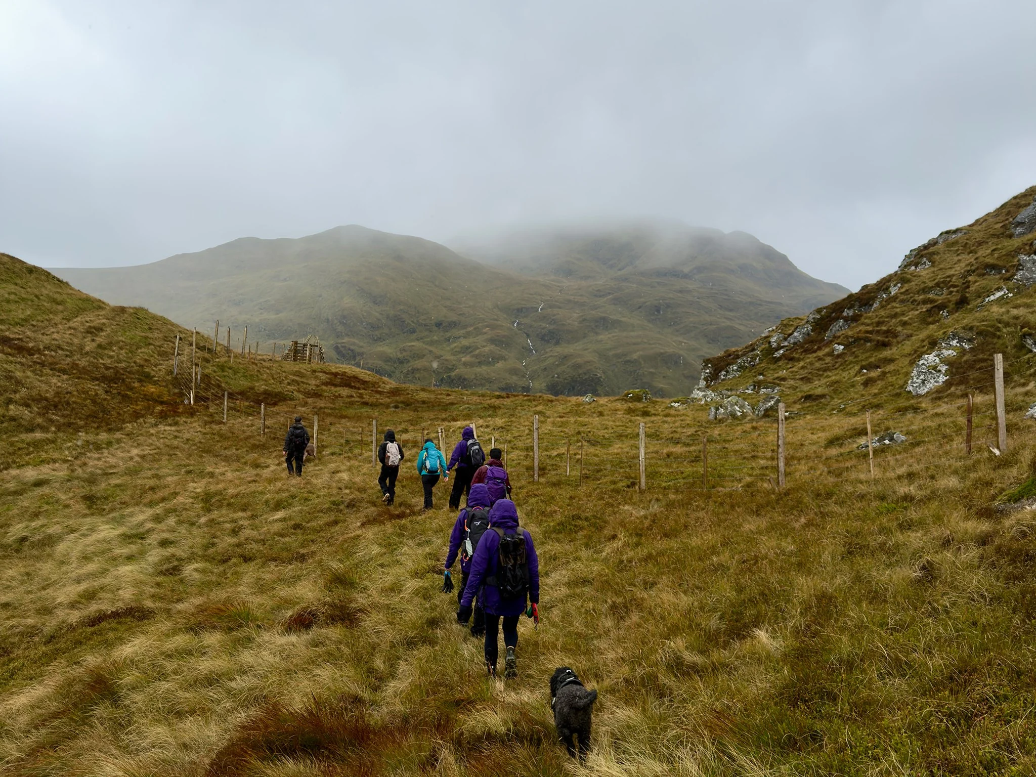 A group og hikers walking towards deer fences on Ben Lawers