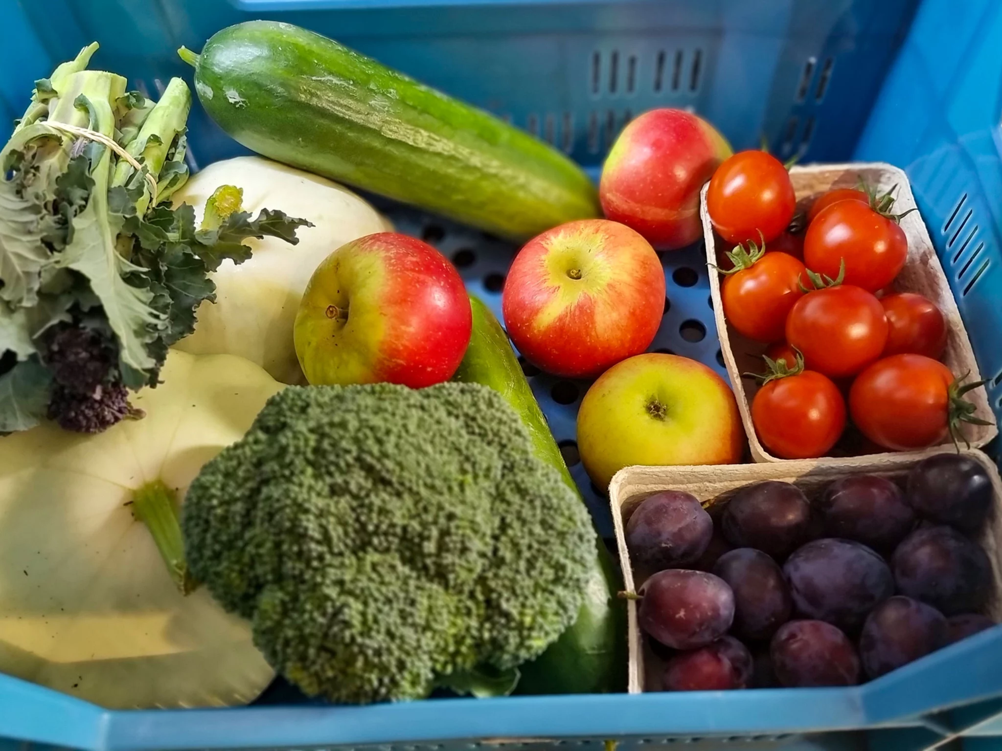 veg bix schemes Edinburgh