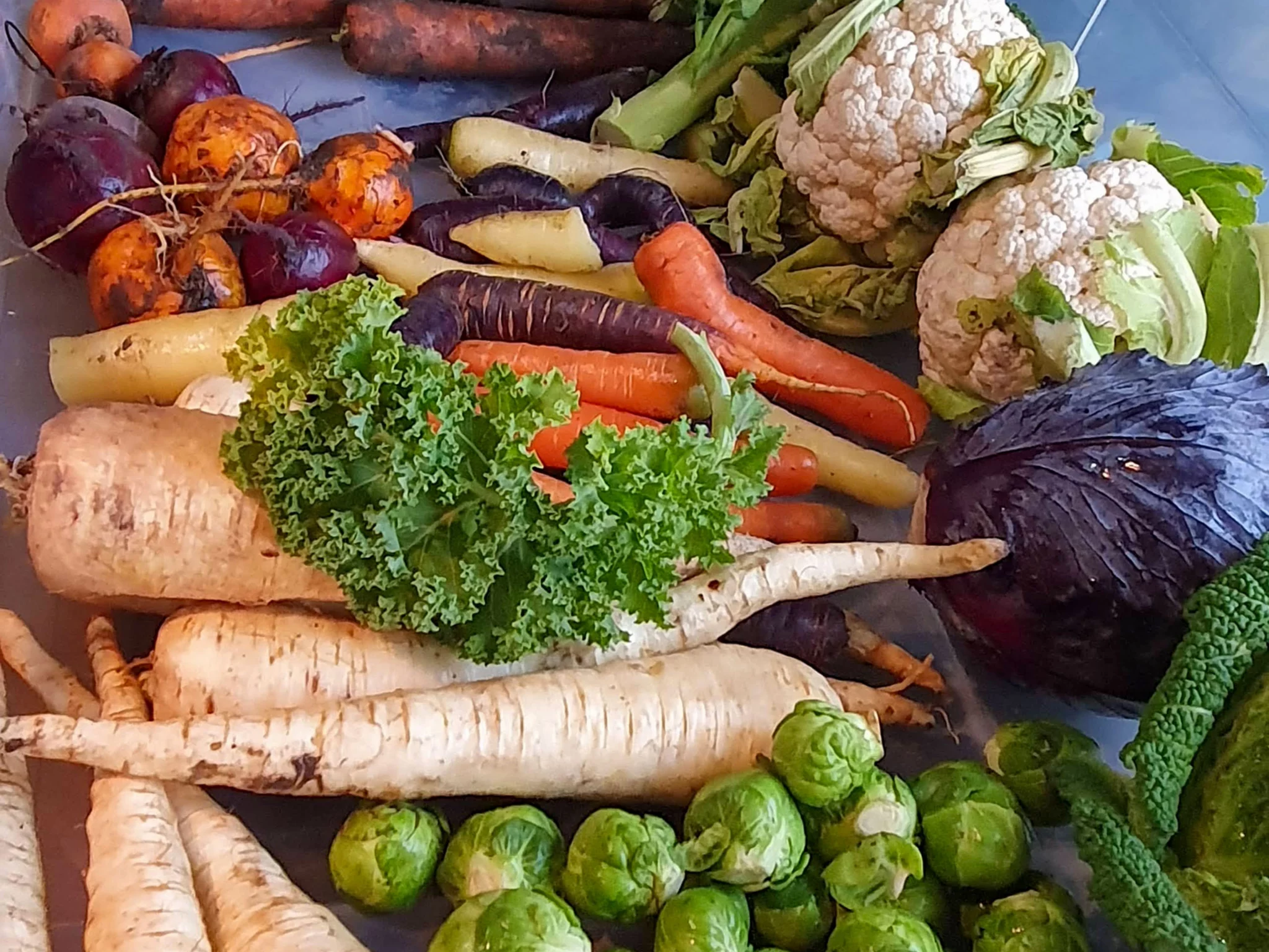 Veg box schemes in Scotland