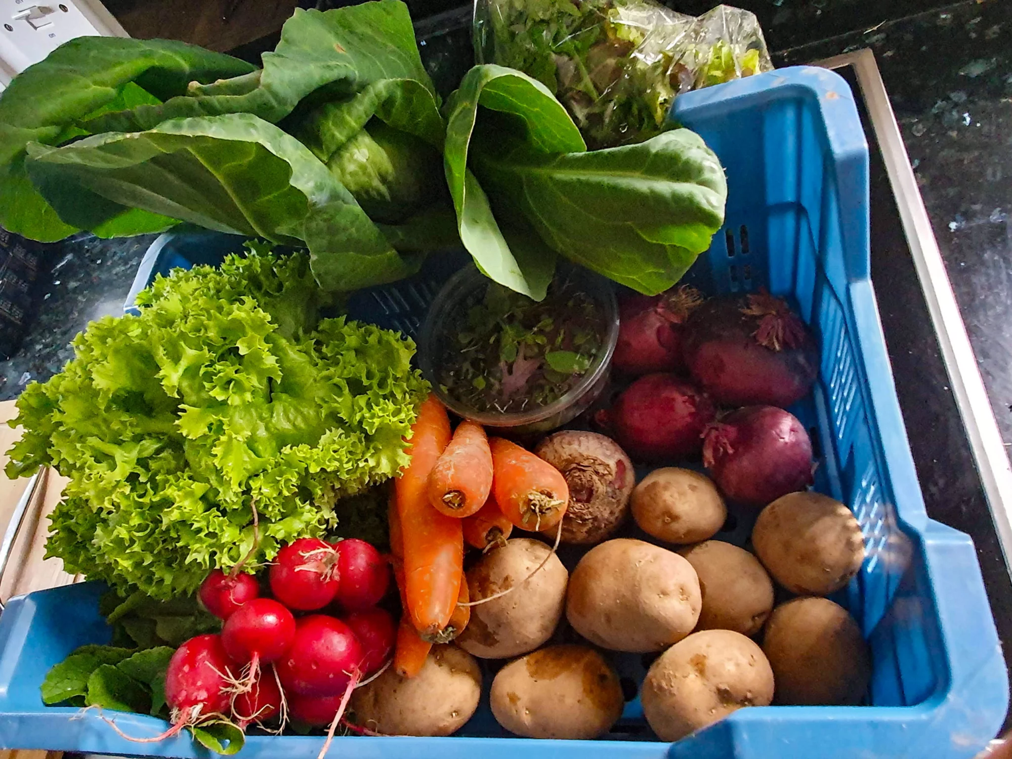 Veg box schemes in Scotland - the complete guide